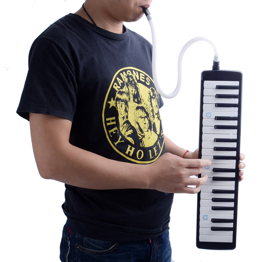32 Key Pianostyle Melodica Wind Instrument Blue eBay